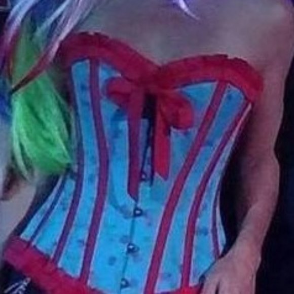 Steel Boned Corset - Picture 1 of 1